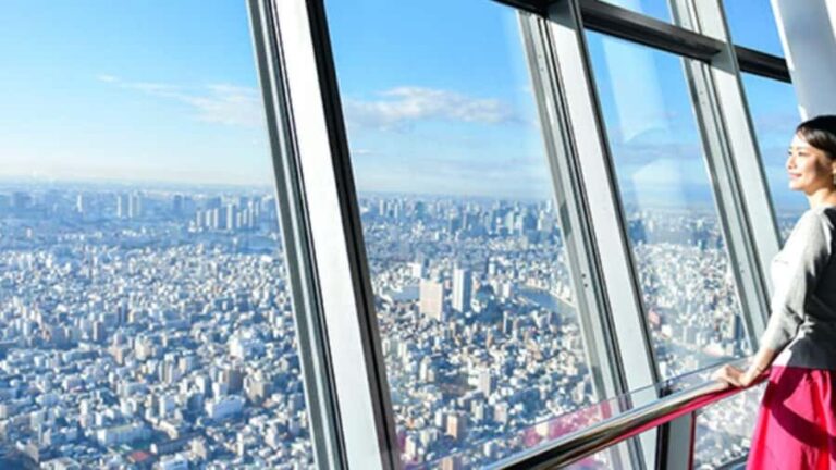 Tokyo: Skytree Guided Tour with Tembo Galleria Entry - Who Is This Tour Best For?
