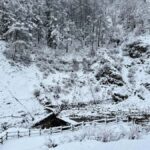 Tokyo: Snow Monkey & Nagano Customizable Private Day Tour - Why This Tour Offers Real Value