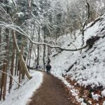 Tokyo: Snow Monkeys, Zenkoji Temple, & Obuse Day Trip - Exploring the Itinerary: What You Can Expect