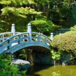 Tokyo: Step into tradition, sumo wrestlers and geisha - Who Should Consider This Tour?