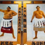 Tokyo: Step into tradition, sumo wrestlers and geisha - Exploring Kagurazaka: Old Edo Charm