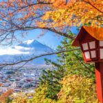 Tokyo Stunning Views of Mount Fuji Best-Selling One-Day Trip - Practical Details: What You Need to Know