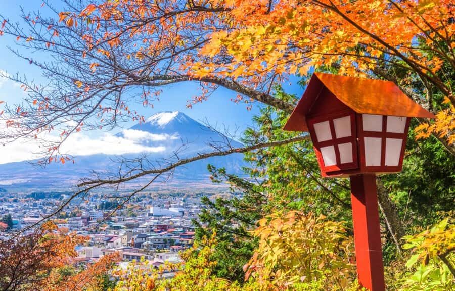 Tokyo Stunning Views of Mount Fuji Best-Selling One-Day Trip - Practical Details: What You Need to Know