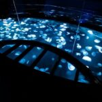 Tokyo: Sumida Aquarium Entry Ticket - Who Should Visit?