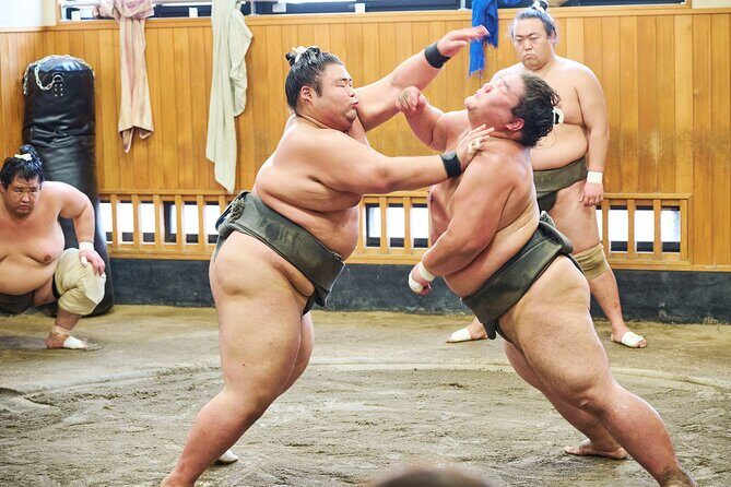 Tokyo: Sumo Morning Practice Viewing Tour at a Real Stable - The Guide and the Insightful Commentary