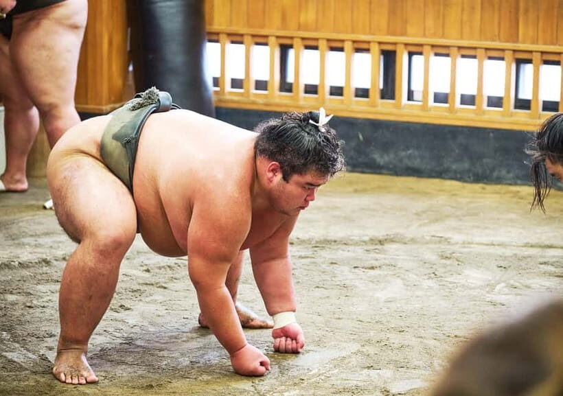 Tokyo: Sumo Morning Practice Viewing Tour at a Real Stable - Authenticity and Value