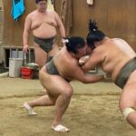 Tokyo Sumo Morning Practice with Guide  Ringside Live Training - An In-Depth Look at the Tokyo Sumo Morning Practice Tour