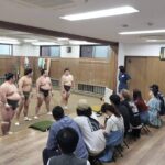 Tokyo Sumo Morning Practice with Guide  Ringside Live Training - Deep Dive into the Details