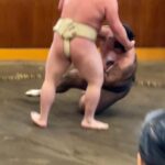 Tokyo: Sumo Morning Practice with Photo Banzuke and Guide - The Value of the Experience