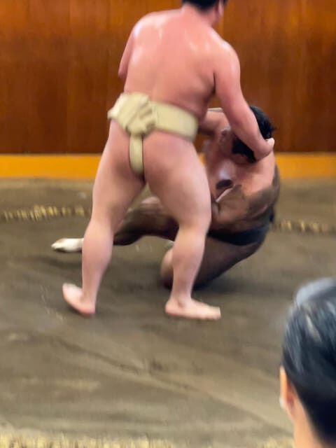 Tokyo: Sumo Morning Practice with Photo Banzuke and Guide - The Value of the Experience
