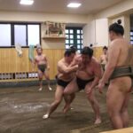 Tokyo: Sumo Morning Training Watching EXP. with Sumo Guide - Practical Details and Tips