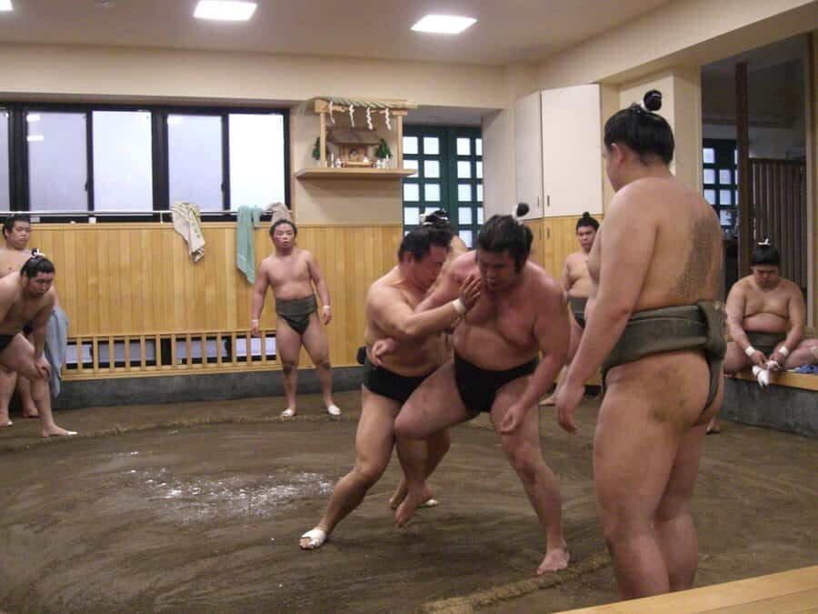 Tokyo: Sumo Morning Training Watching EXP. with Sumo Guide - Practical Details and Tips