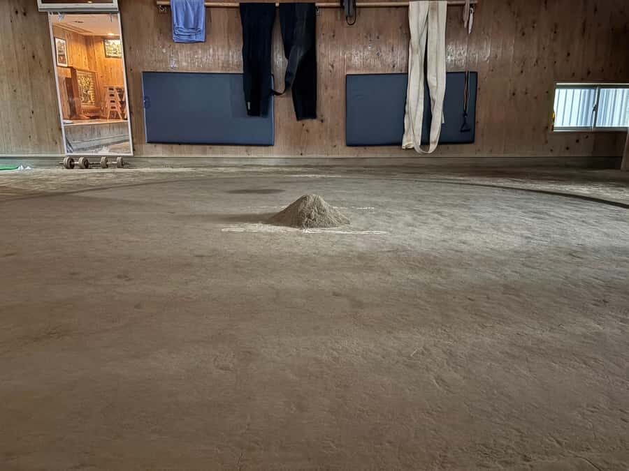 Tokyo: Sumo Wrestling Experience with Former Wrestlers - Who Should Consider This Tour?