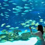Tokyo: Sunshine Aquarium Entry Ticket - The Value of the Experience