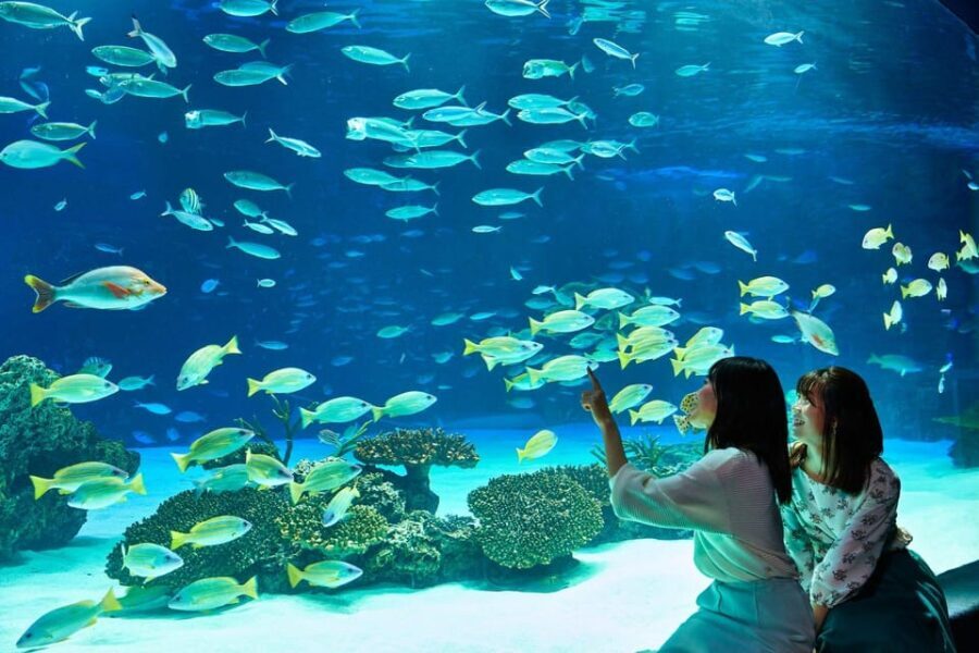Tokyo: Sunshine Aquarium Entry Ticket - The Value of the Experience