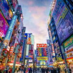 Tokyo: Tailored Shopping Escape Tour - An In-Depth Look at the Tour