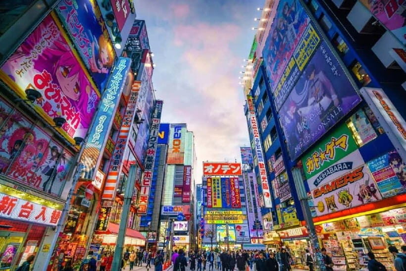 Tokyo: Tailored Shopping Escape Tour - An In-Depth Look at the Tour