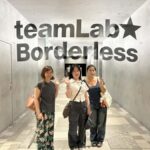 Tokyo: TeamLab Borderless & Roppongi Art Architecture Tour - Practical Details & Why They Matter