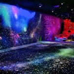 Tokyo: TeamLab Planets Admission & 24-Hour Subway Ticket - FAQs