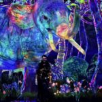 Tokyo: TeamLab Planets & Odaiba Gundam Bay Tour - Exploring the Digital Art at teamLab Planets