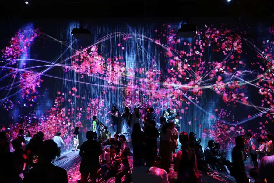 Tokyo: TeamLab Planets & Odaiba Gundam Bay Tour - What Makes This Tour Stand Out?