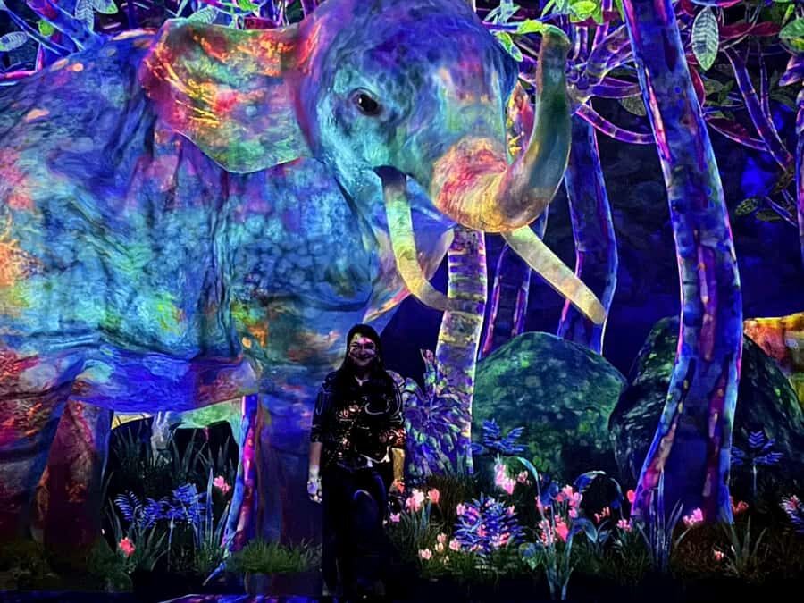 Tokyo: TeamLab Planets & Odaiba Gundam Bay Tour - Exploring the Digital Art at teamLab Planets  