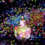 Tokyo: teamLab Planets & Toyosu Fish Market Guided Tour - Detailed Breakdown of the Tour