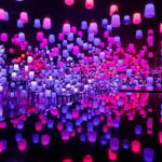 Tokyo: teamLab Planets & Toyosu Fish Market Guided Tour - Who Will Love This Tour?