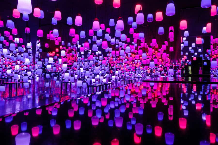 Tokyo: teamLab Planets & Toyosu Fish Market Guided Tour - Who Will Love This Tour?