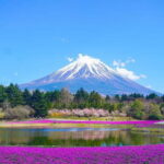 Tokyo To Mount FUJI Day Trip With English guide - What Do Travelers Say?