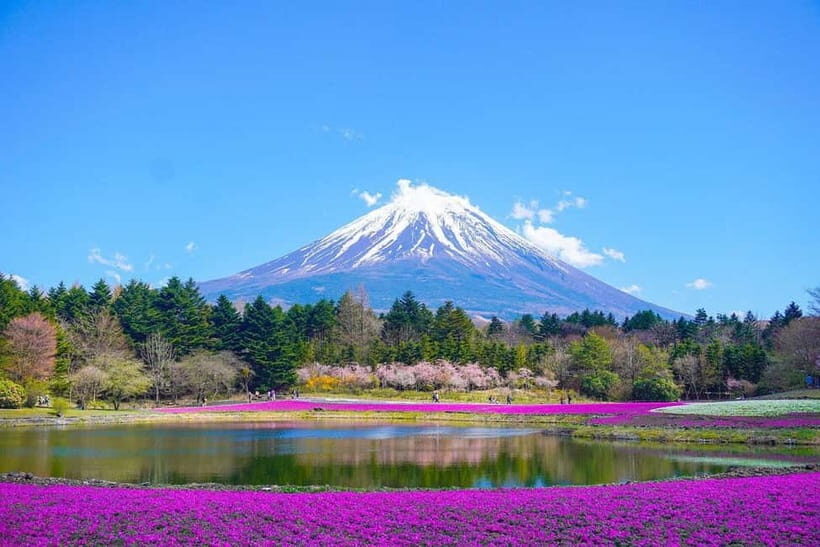Tokyo To Mount FUJI Day Trip With English guide - What Do Travelers Say?