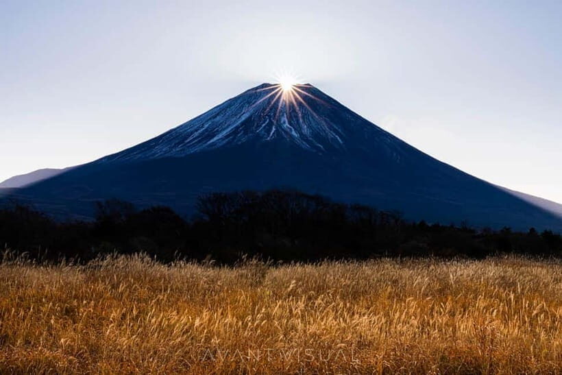 Tokyo To Mount FUJI Day Trip With English guide - Why This Tour Stands Out
