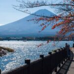 Tokyo to Mount Fuji Private Guided Experiences - Authenticity and Insider Tips from Reviews