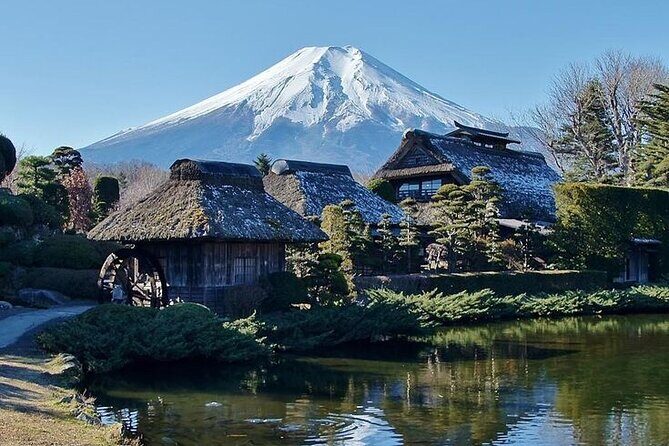 Tokyo to Mount Fuji Private Guided Experiences - The Itinerary: What to Expect