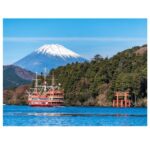 Tokyo to Mt. Fuji & Hakone: Private Customizable Day Trip - Why Choose This Tour?