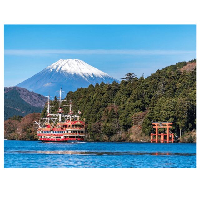 Tokyo to Mt. Fuji & Hakone: Private Customizable Day Trip - Why Choose This Tour?