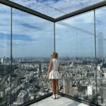 Tokyo: Tokyo City Private Tour with English Speaking Driver - The Practical Side: What You Need to Know