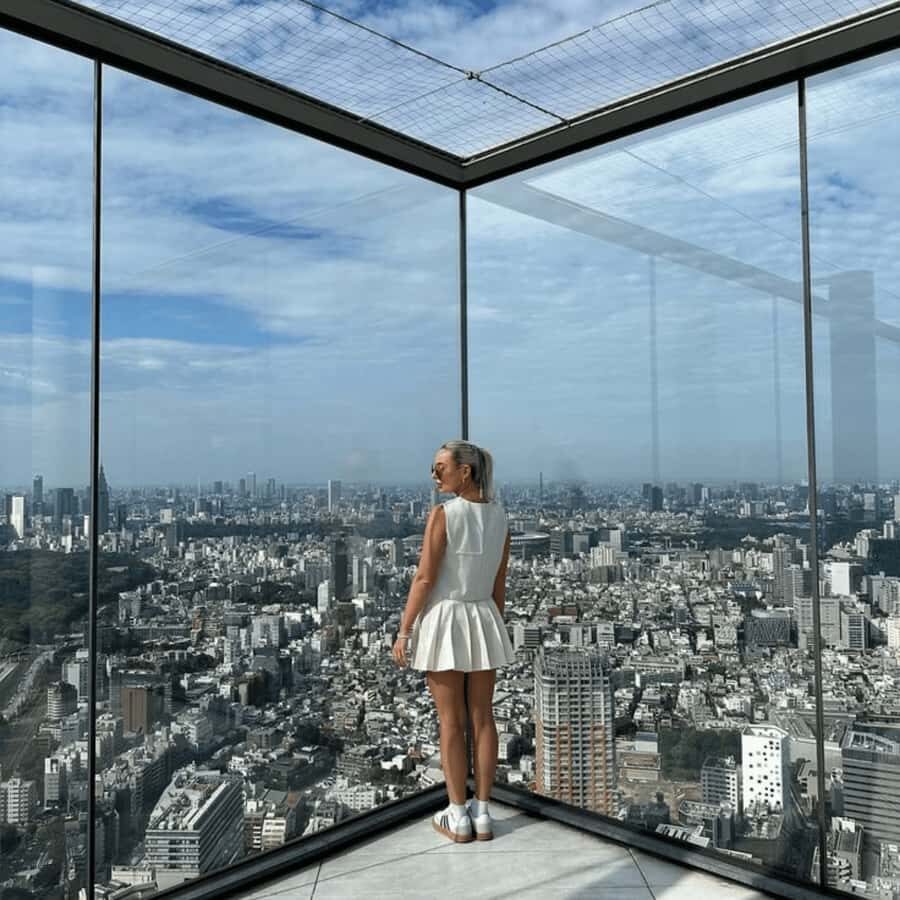 Tokyo: Tokyo City Private Tour with English Speaking Driver - The Practical Side: What You Need to Know