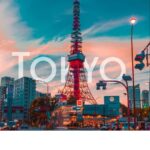 Tokyo: Tokyo Full Day Private Customized Tour - What Makes This Tour Stand Out?