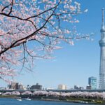 Tokyo: Tokyo Private Day Tour with English Speaking Guide - What Sets This Tour Apart
