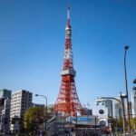 Tokyo: Tokyo Tower, Shiba Park, Zojoji Temple Walking Tour - Final Thoughts
