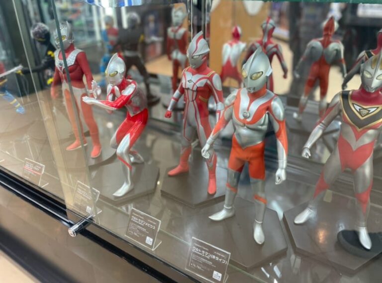 Tokyo: Tour around 10 charms to know Akihabara! - Practical Details and Tips