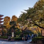 Tokyo: Tour Privado por Tokio en español - The Practical Details: What’s Included and What to Know