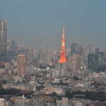 Tokyo Tour: Senso-ji, Meiji Shrine, Shibuya & Skytree Visit - Practical Details and What to Expect