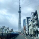 Tokyo Tour with Private Vehicle and English Speaking Guide - Transportation and Group Size