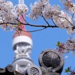 Tokyo Tower Adventure 60 Minute Scenic Rickshaw Ride - What Makes This Tour Special