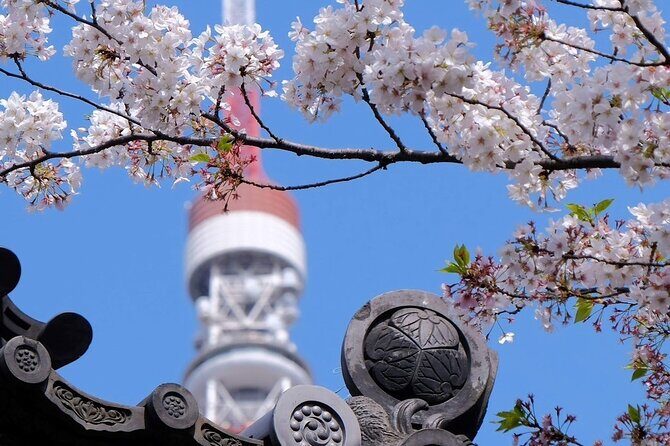 Tokyo Tower Adventure 60 Minute Scenic Rickshaw Ride - What Makes This Tour Special