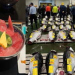 Tokyo Toyosu Tuna Auction w Dealer + Sushi (Standard to VIP) - Who Will Love This Tour?
