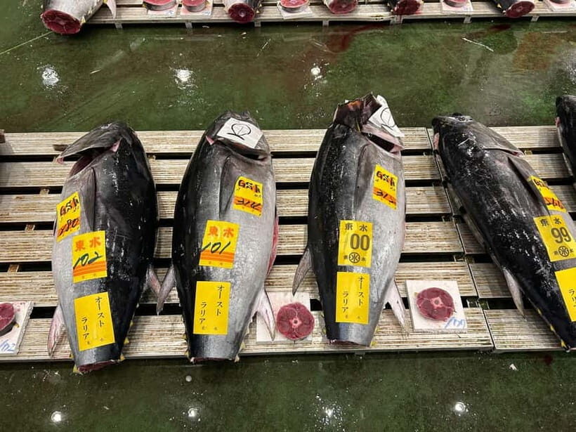 Tokyo Toyosu Tuna Auction w Dealer + Sushi (Standard to VIP) - Breakfast Options: Savoring the Morning Catch