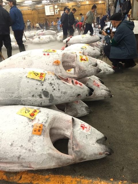 Tokyo: Tsukiji Fish Market Foodie and Educational Tour - What’s Included and What’s Not
